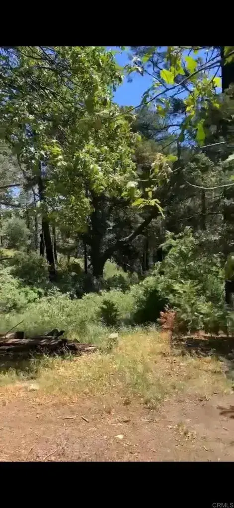 0 Burnt Creek Canyon, Cedarpines Park, CA 92322 - #2