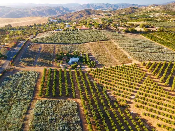 31817 Via Ararat, Bonsall, CA 92003