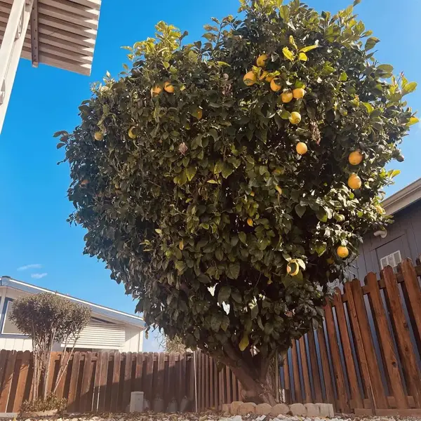 27250 Murrieta #364, Menifee, CA 92586