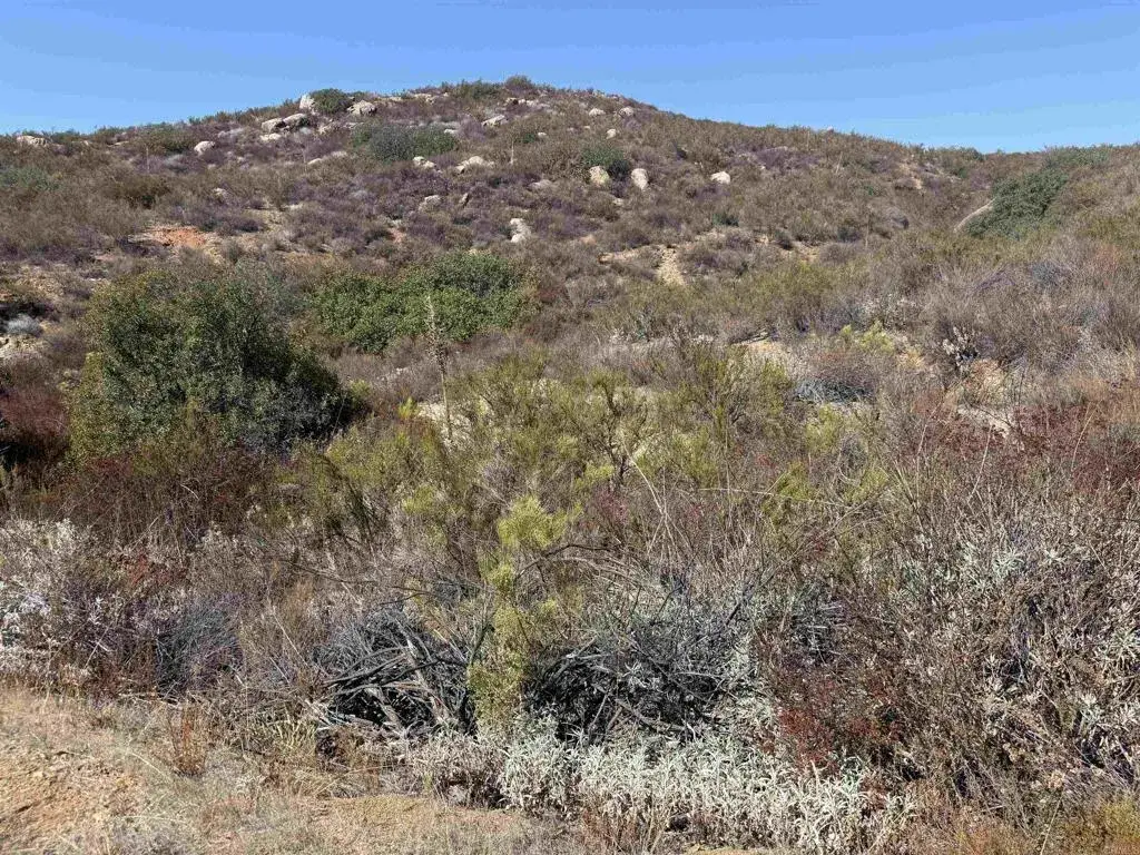 Japatul Rd., Alpine, CA 91901 - #1