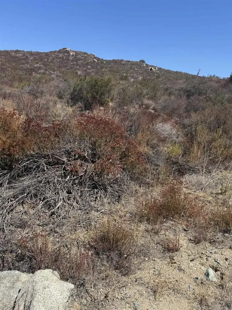Japatul Rd., Alpine, CA 91901 - #3