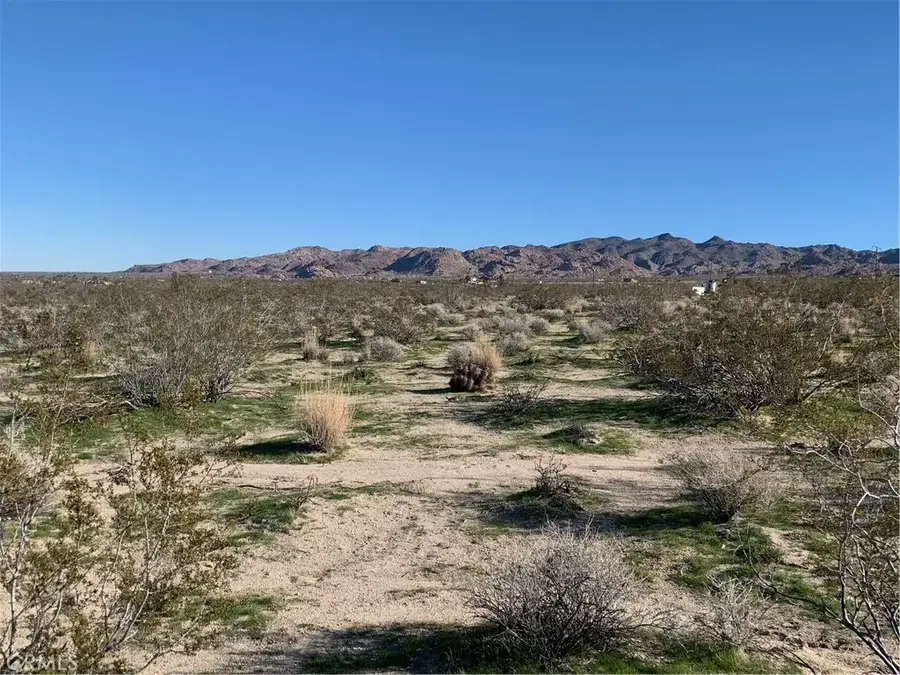 0 California, Joshua Tree, CA 92252 - #3