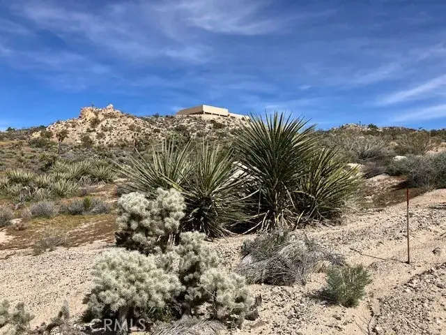 57296 Manzanita, Yucca Valley, CA 92284 - #2
