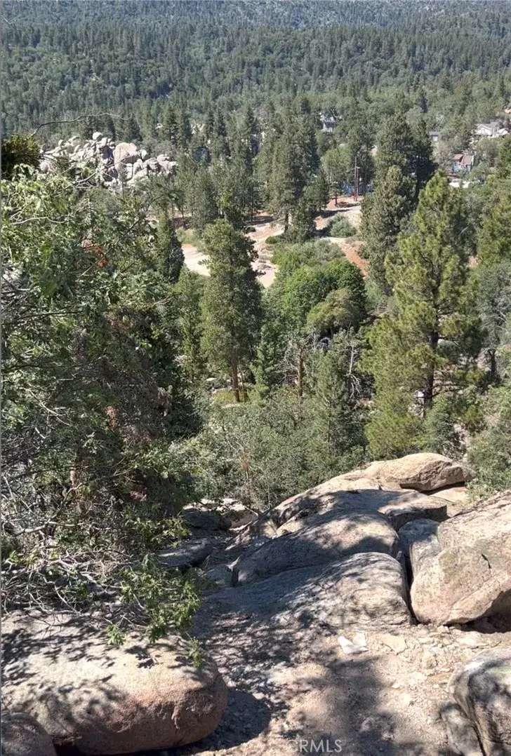 1 Deer Lick, Running Springs, CA 92382 - #1