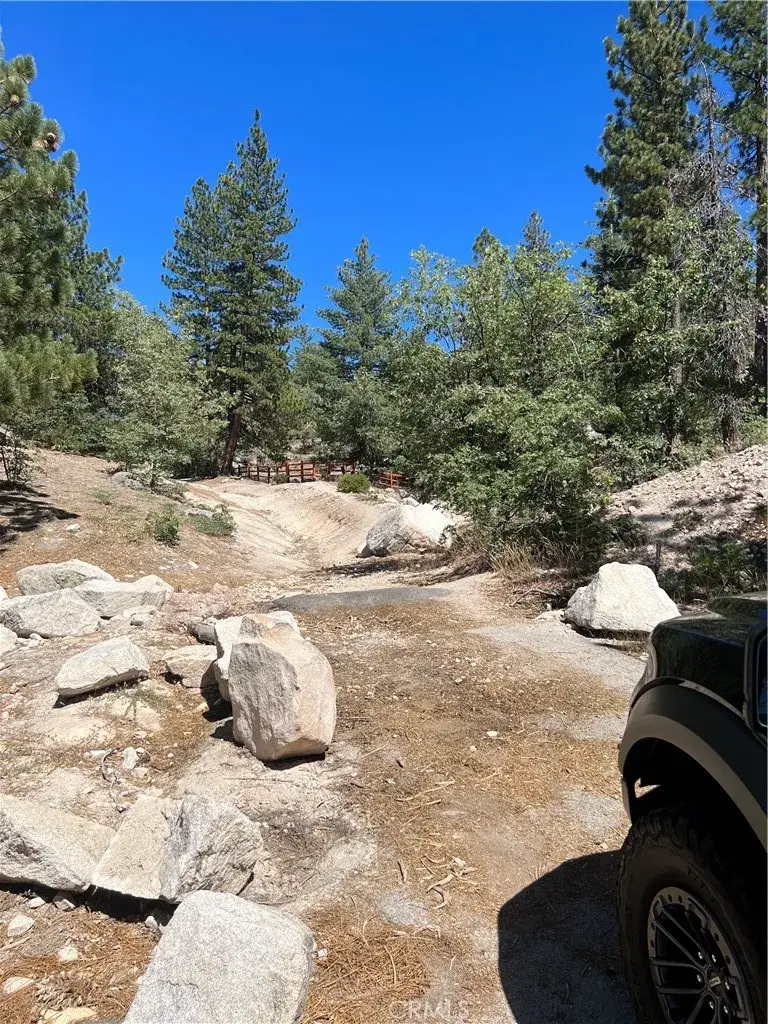 1 Deer Lick, Running Springs, CA 92382 - #2