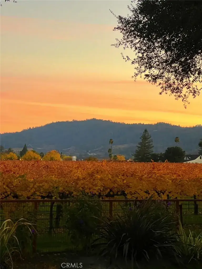 1125 Rutherford, Napa, CA 94558 - #3