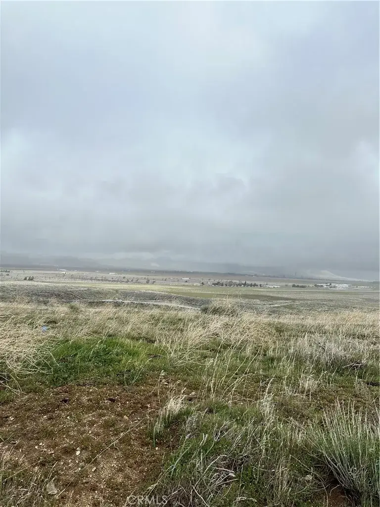 0 Dotty, Tehachapi, CA 93561 - Image #3