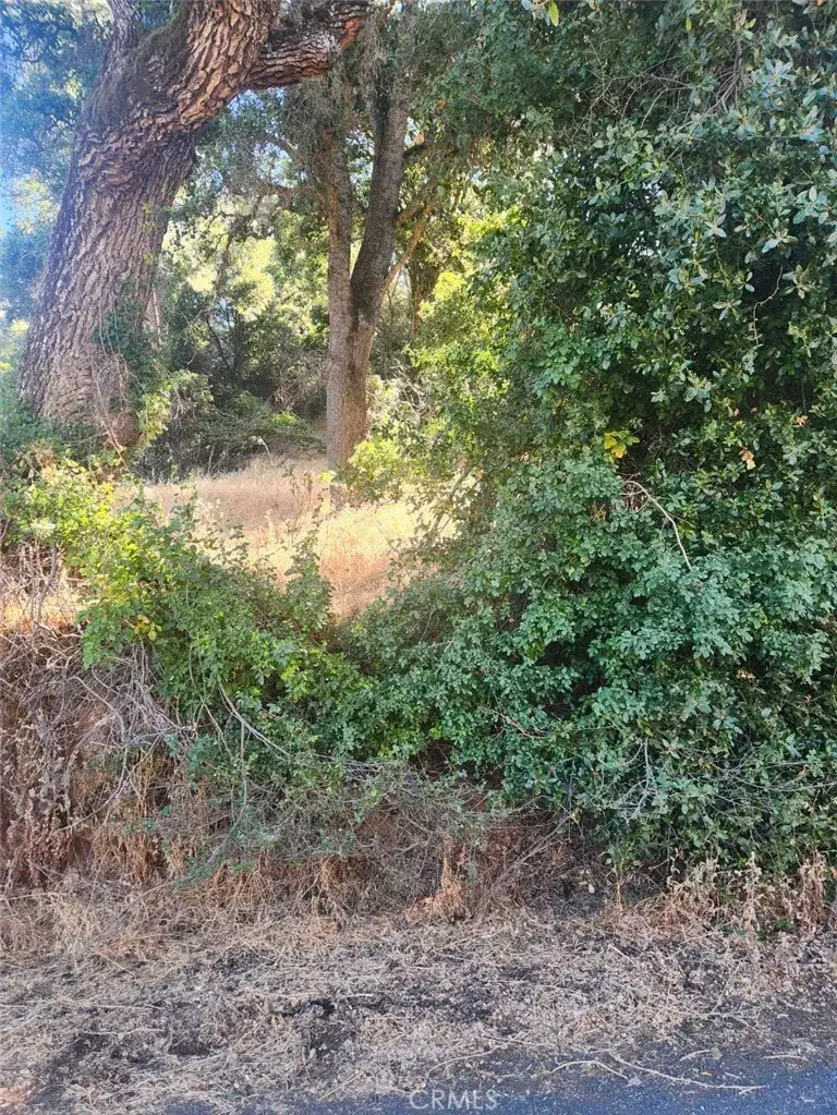 4010 Foothill, Lucerne, CA 95458 - #2