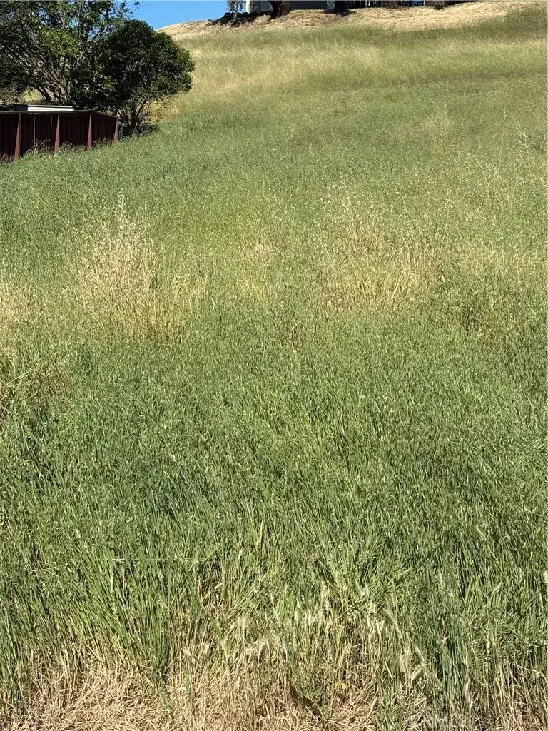 4813 Tumbleweed Way, Paso Robles, CA 93446 - #2