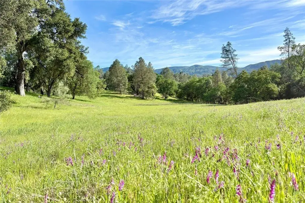 75370 Turkey, Bradley, CA 93426 - #1