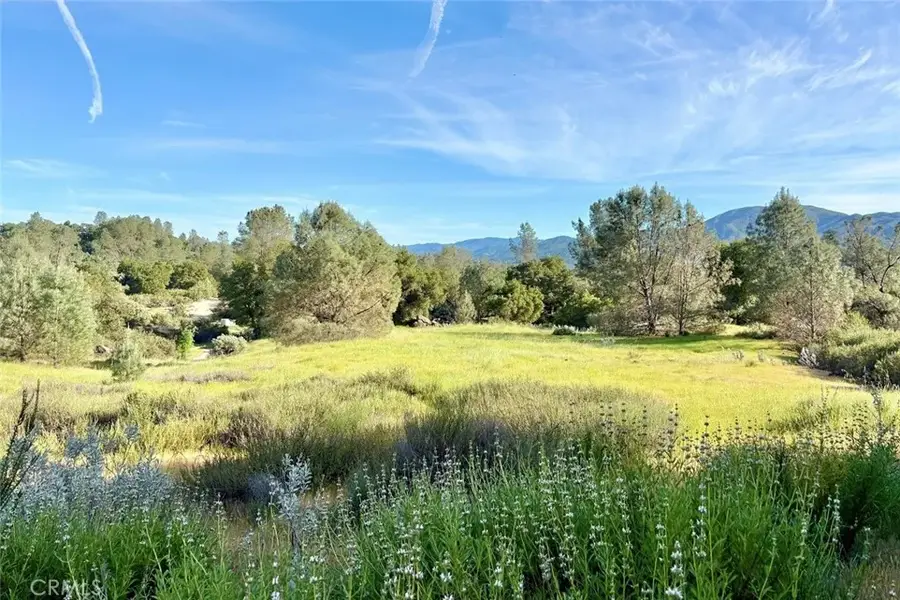 75370 Turkey, Bradley, CA 93426 - #3
