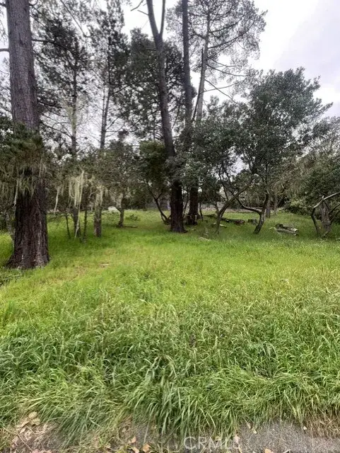 0 Mills, Cambria, CA 93428 - #3