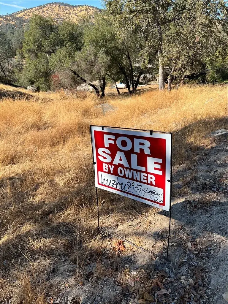 608 Deep Forest, Coarsegold, CA 93614 - #1