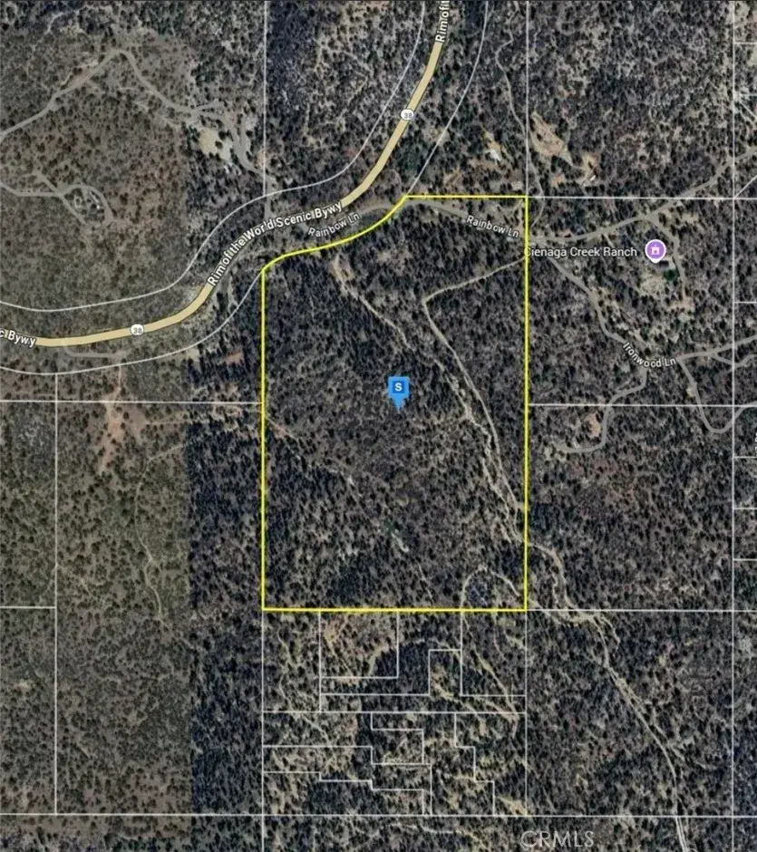 0 Highway 38, Angelus Oaks, CA 92305 - #2
