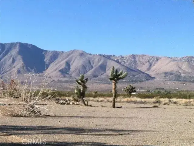 #1