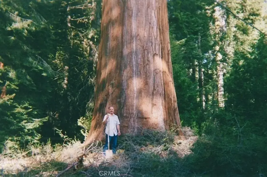 54584 Ponderosa, Springville, CA 93265 - Image #3