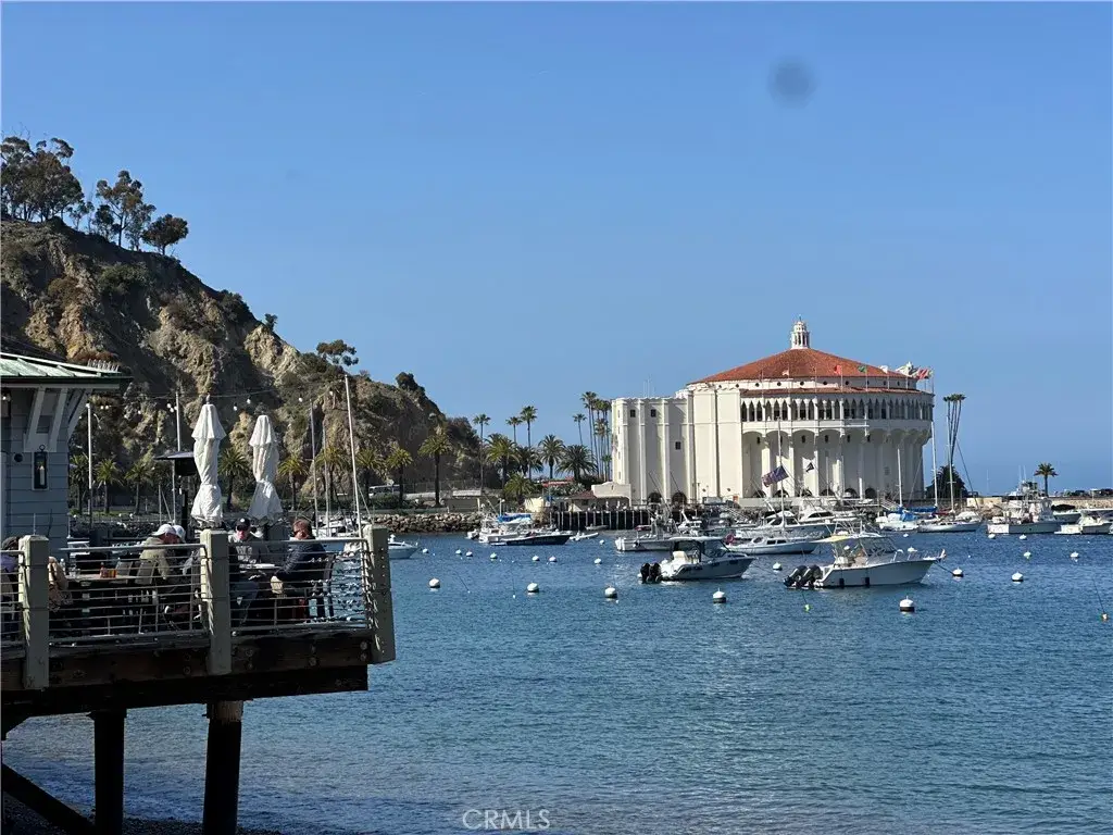 352 Eucalyptus, Avalon, CA 90704 - #1