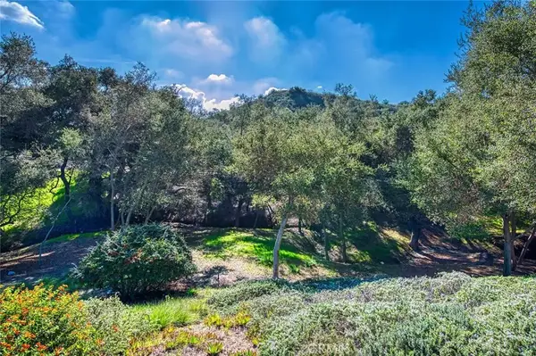 66 Mesquite, Trabuco Canyon, CA 92679