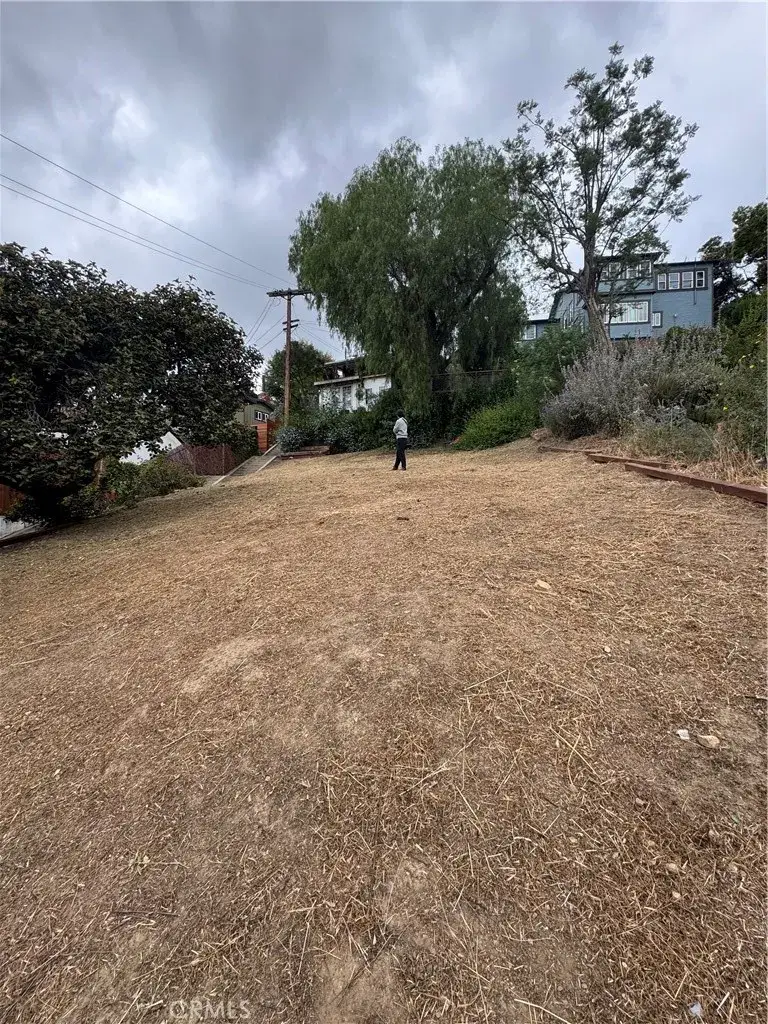 2106 Roselin, Los Angeles, CA 90039 - #2