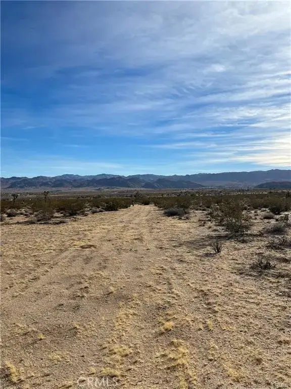 7 Bellflower, Joshua Tree, CA 92252 - #1