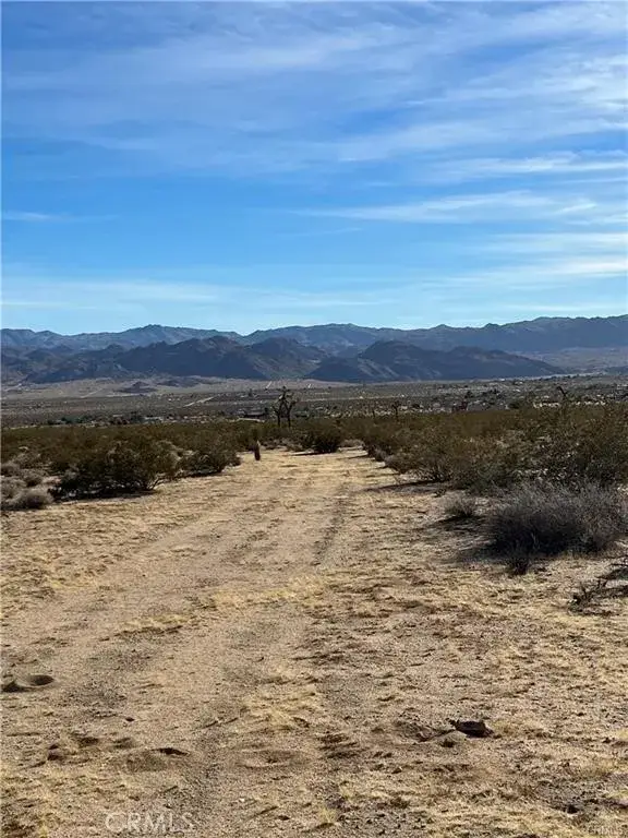 7 Bellflower, Joshua Tree, CA 92252 - #3