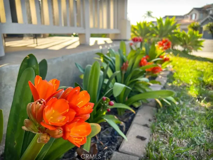 10 Acorn, Rancho Santa Margarita, CA 92688 - #2