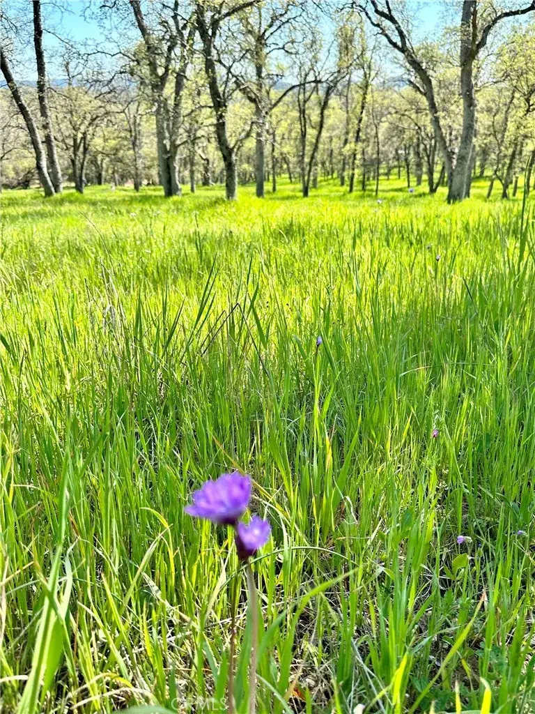 18461 Old Wards Ferry Road, Sonora, CA 95370 - #1