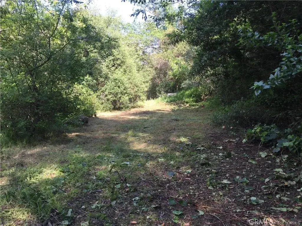 30242 Oak, Silverado, CA 92676 - #1