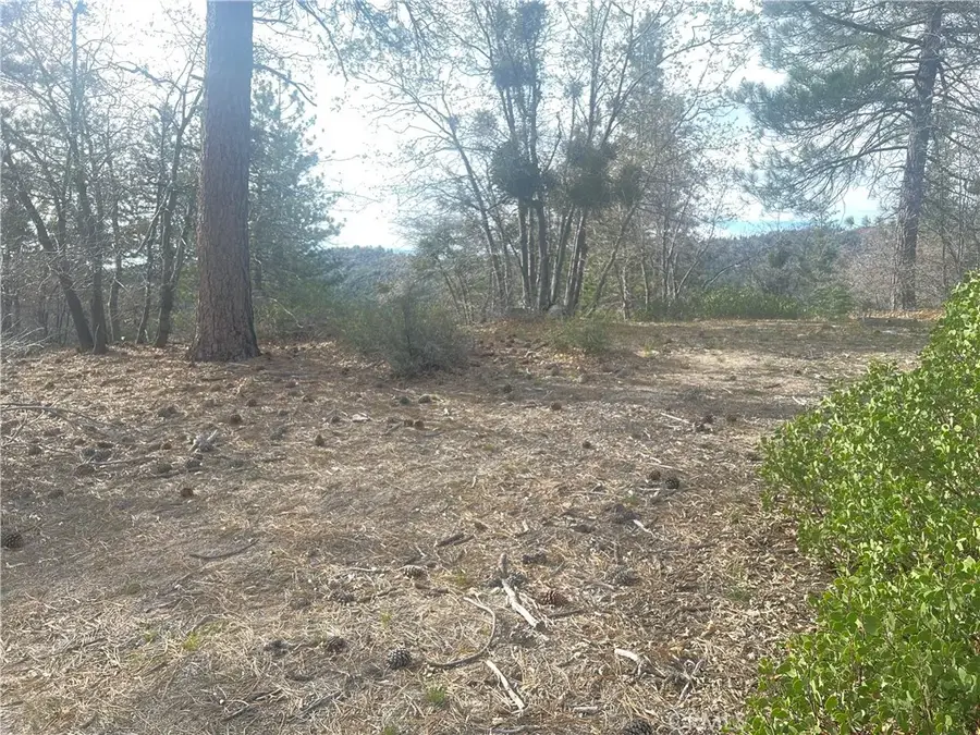 0 Hardy, Running Springs, CA 92382 - #3