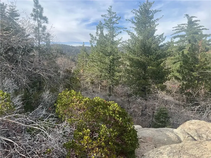 0 Hardy, Running Springs, CA 92382 - #2