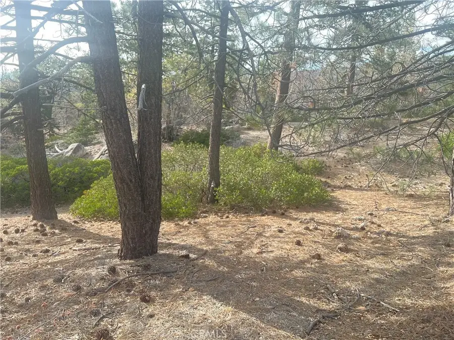 0 Hardy, Running Springs, CA 92382 - #3