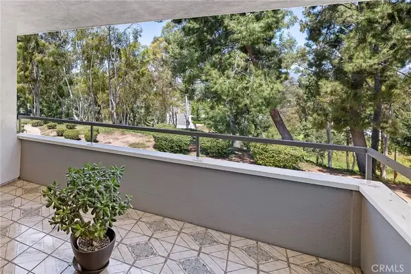 22342 Caminito Escobedo, Laguna Hills, CA 92653