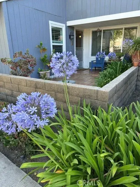29562 Brook Court, San Juan Capistrano, CA 92675 - #1