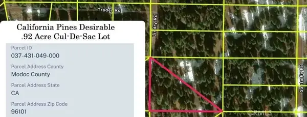0 Livery, Alturas, CA 96101