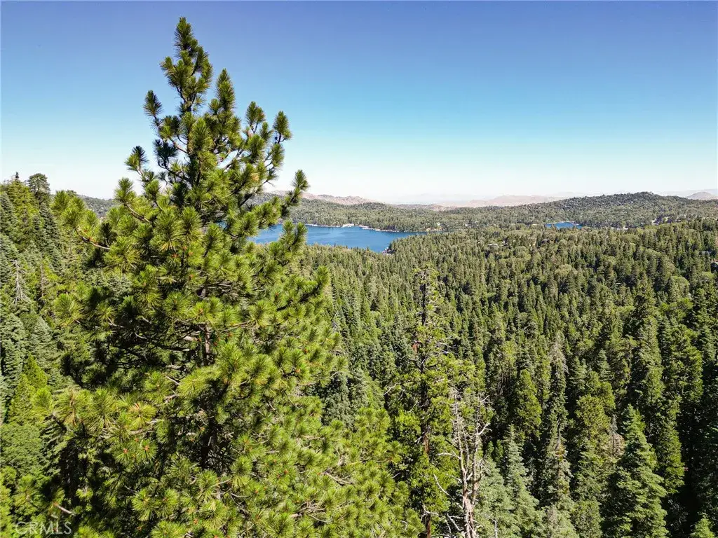 746 Blue Ridge, Cedar Glen, CA 92385 - #1