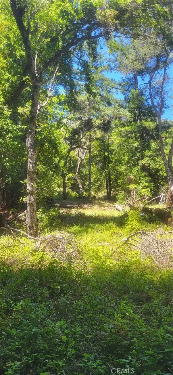 0 Palm Cutof, Boulder Creek, CA 95006 - #3
