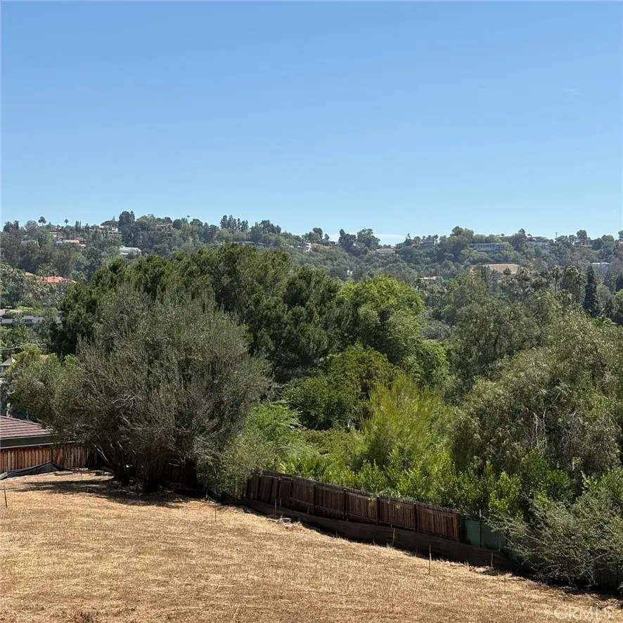 12138 Skyline, North Tustin, CA 92705 - #3