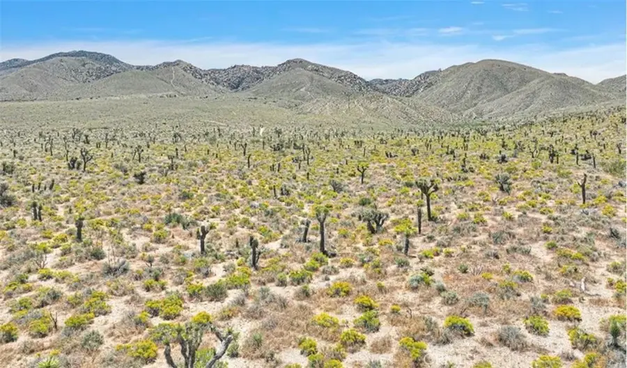 0 Near Sutter, Lucerne Valley, CA 92356 - #3