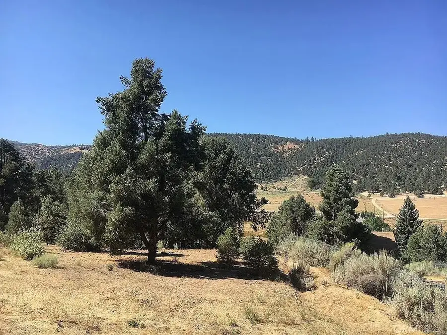 1329 Jay, Frazier Park, CA 93225 - #2