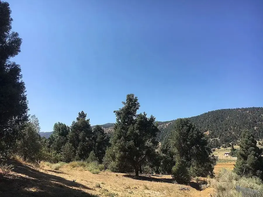 1329 Jay, Frazier Park, CA 93225 - #3