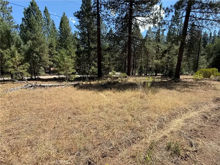 0 Sugar Loaf, Old Station, CA 96071 - #3