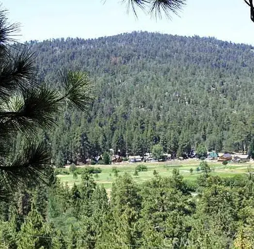 801 Menlo, Big Bear Lake, CA 92315 - #2