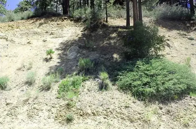 801 Menlo, Big Bear Lake, CA 92315 - #3