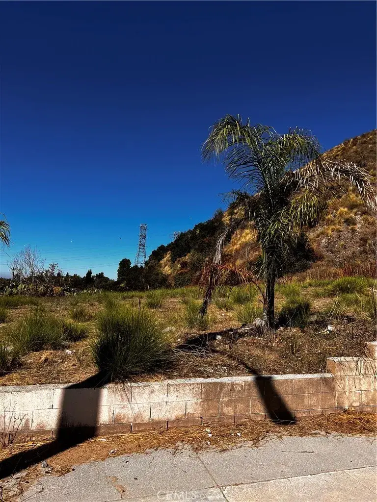 201 Mel Canyon, Duarte, CA 91010 - #3