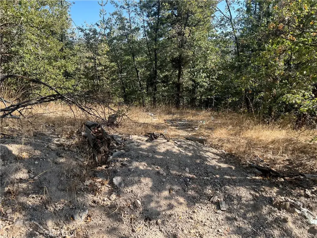 0 Lone Pine Dr., Running Springs, CA 92382 - #1