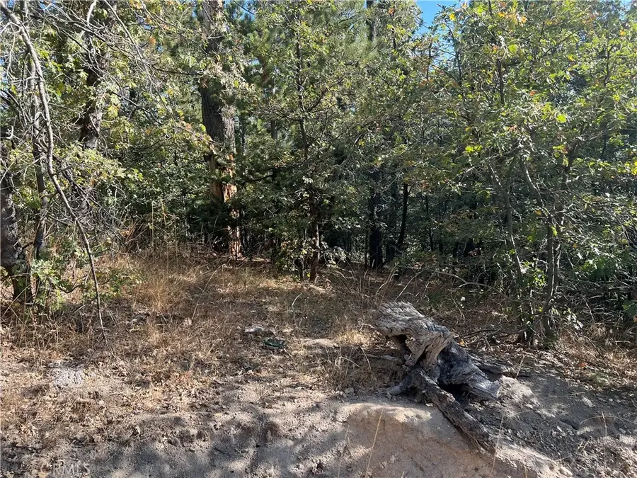0 Lone Pine Dr., Running Springs, CA 92382 - #2
