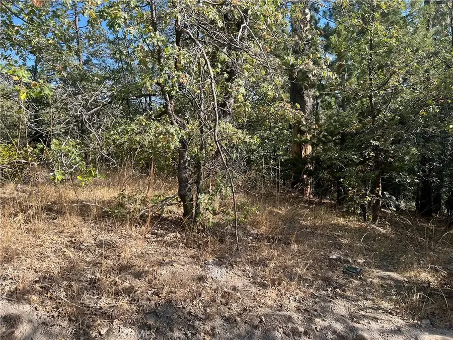 0 Lone Pine Dr., Running Springs, CA 92382 - #3