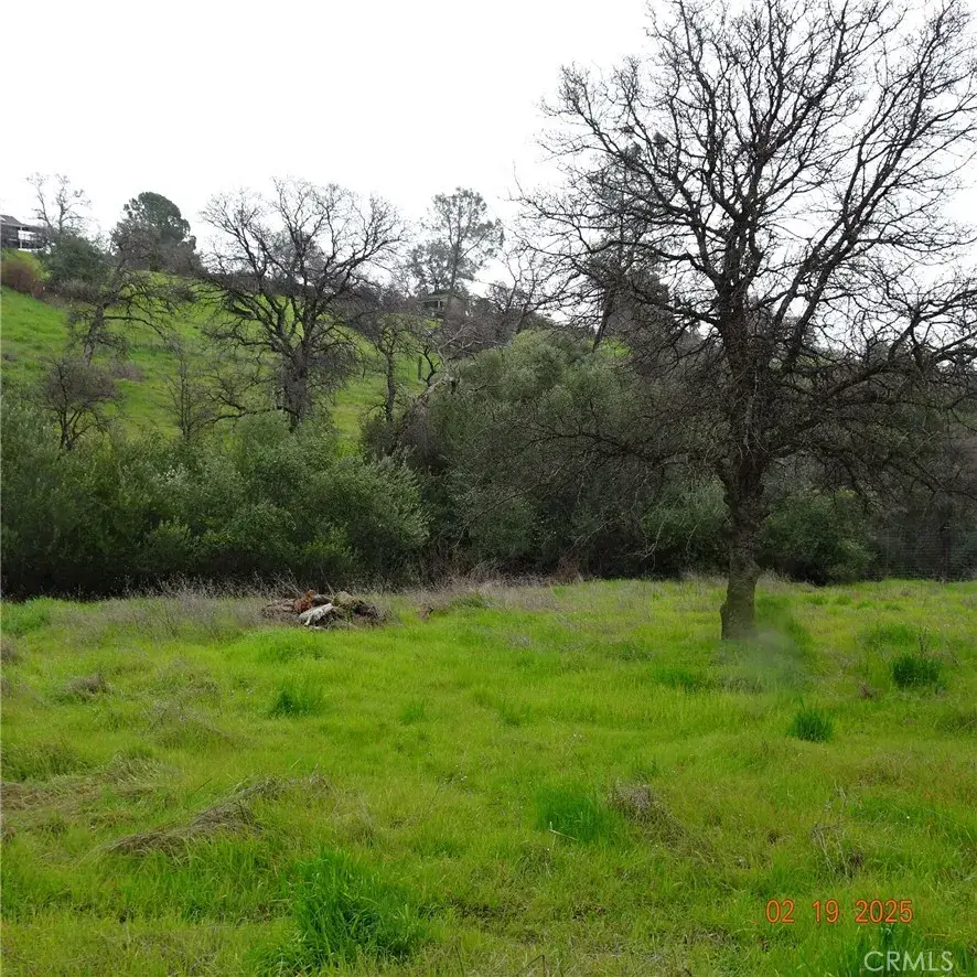 0 Long Bar, Oroville, CA 95966 - #3