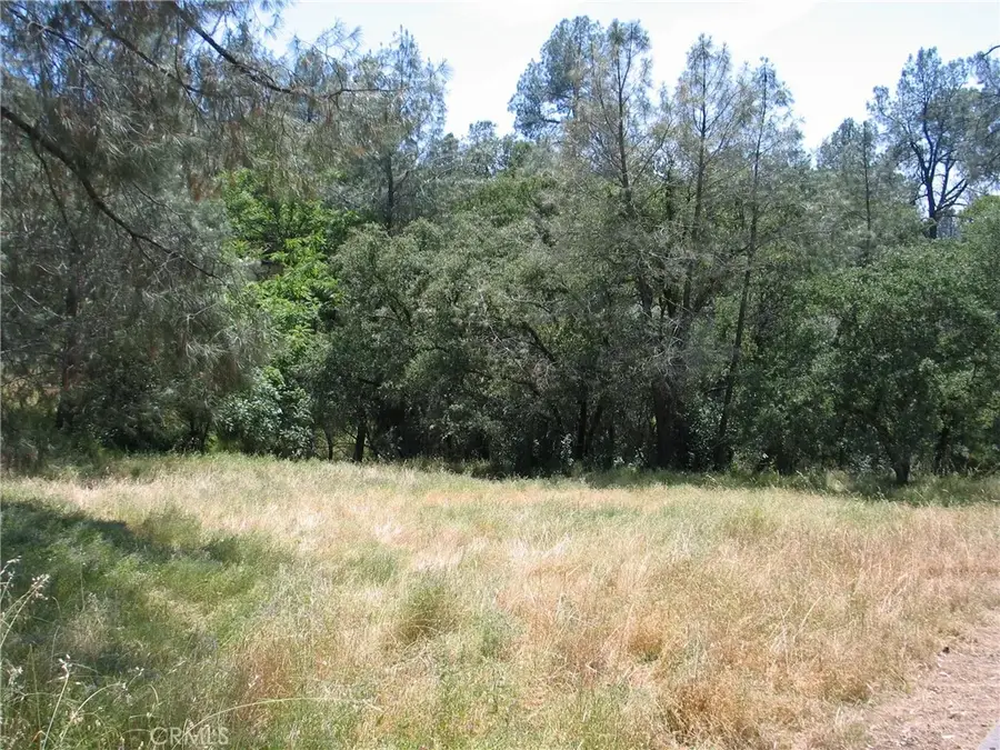 211 Lemon Hill, Oroville, CA 95966 - #2