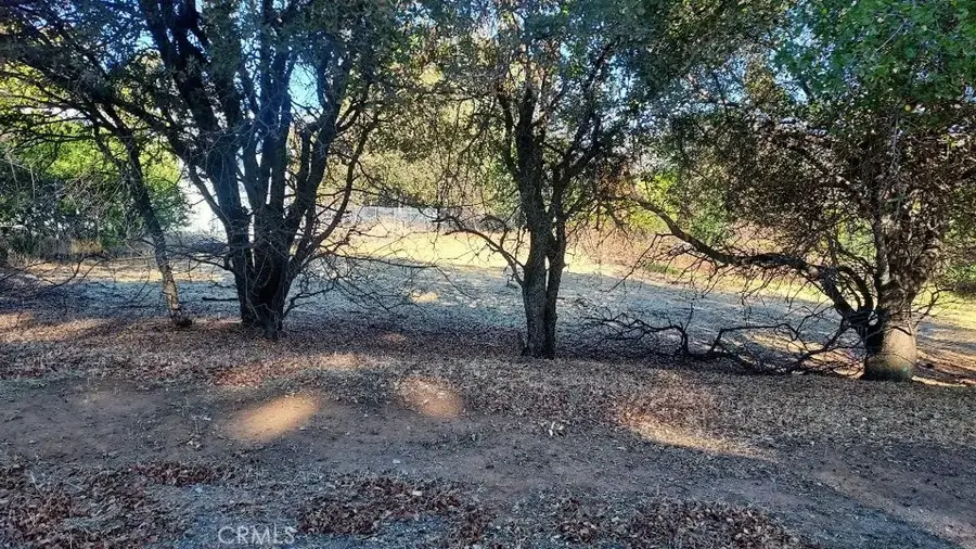 494 Kelly Ridge, Oroville, CA 95966 - Image #2